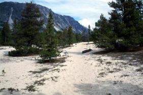 Bild: Weg nach Bennet